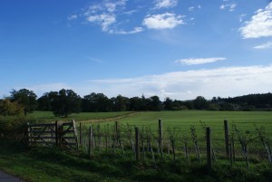 country field with gate and fence