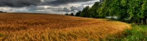 douglas-let-farms