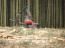 forestry