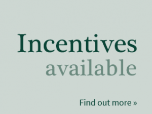 widget-incentives-available