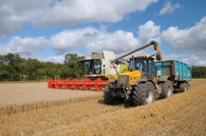farming