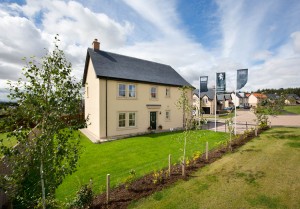 show home